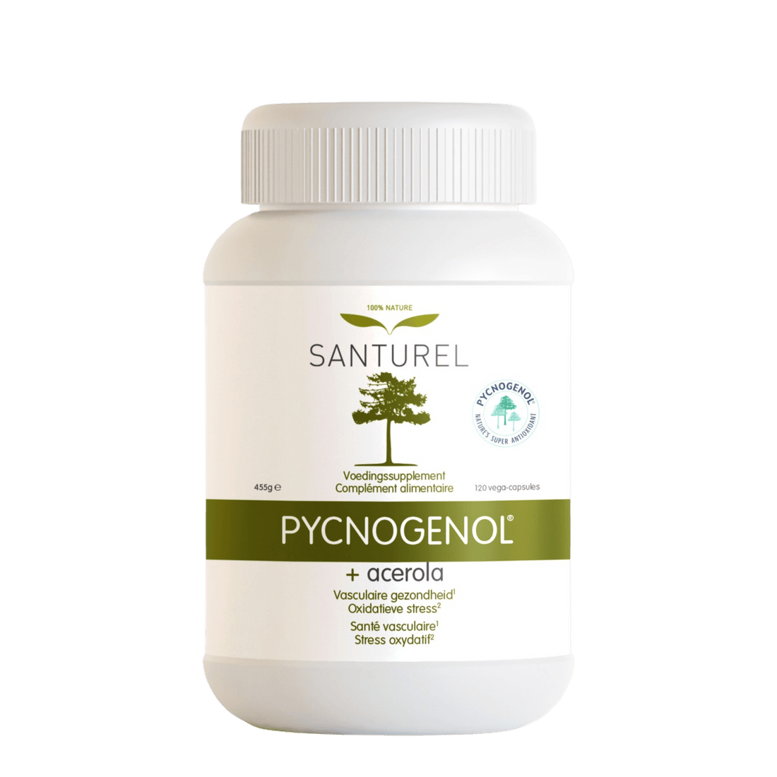 Pycnogenol: Natuurlijk antioxidant voor betere bloedcirculatie en vitaliteit